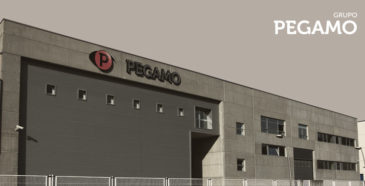 grupo_pegamo_byd