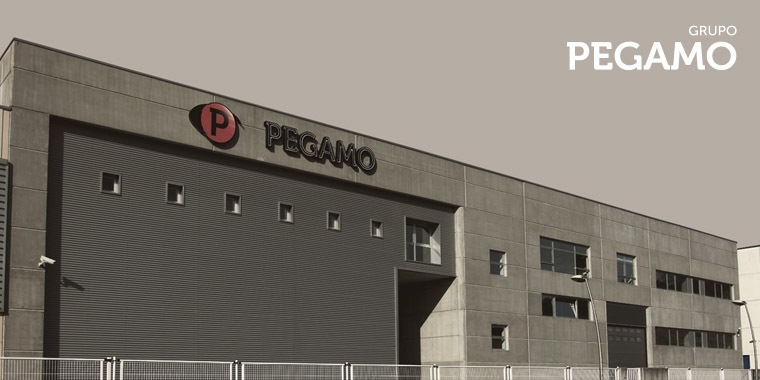 grupo_pegamo_byd